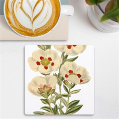 Nature-flower-leaf-plant-isolated Uv Print Square Tile Coaster  by 99art