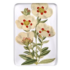 Nature-flower-leaf-plant-isolated Rectangular Glass Fridge Magnet (4 Pack) by 99art