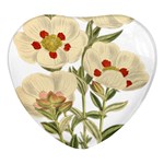 Nature-flower-leaf-plant-isolated Heart Glass Fridge Magnet (4 pack) Front