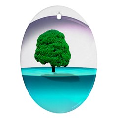 Crystal-ball-sphere-cartoon Color Background Oval Ornament (two Sides)