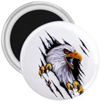 Eagle 3  Magnets Front