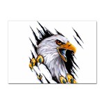 Eagle Sticker A4 (10 pack) Front