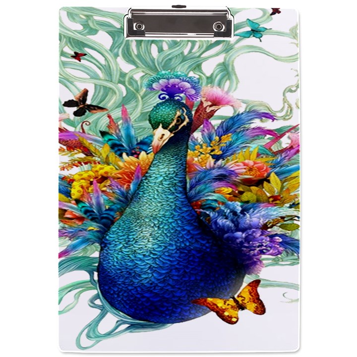 Bird-peafowl-painting-drawing-feather-birds A4 Acrylic Clipboard