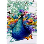 Bird-peafowl-painting-drawing-feather-birds A4 Acrylic Clipboard Back