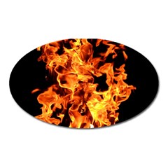 Live Coals Oval Magnet by artworkshop