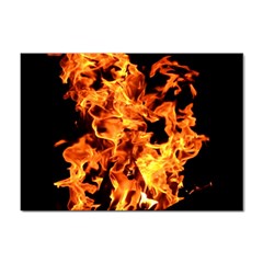 Live Coals Sticker A4 (10 Pack) by artworkshop