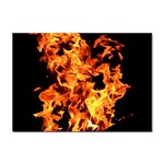 Live Coals Sticker A4 (10 pack) Front