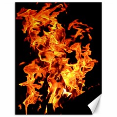 Live Coals Canvas 12  X 16  by artworkshop