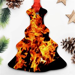 Live Coals Ornament (christmas Tree)  by artworkshop