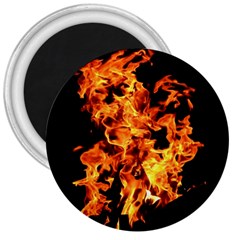 Live Coals 3  Magnets by artworkshop