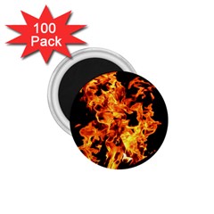 Live Coals 1 75  Magnets (100 Pack)  by artworkshop