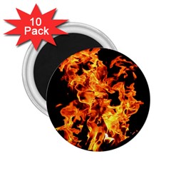 Live Coals 2 25  Magnets (10 Pack)  by artworkshop