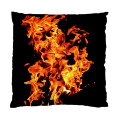 Live Coals Standard Cushion Case (two Sides) by artworkshop