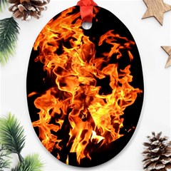 Live Coals Oval Ornament (two Sides) by artworkshop