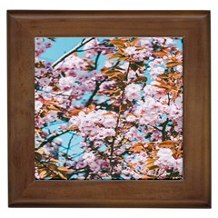 Nature Beautiful Rainbow Framed Tile