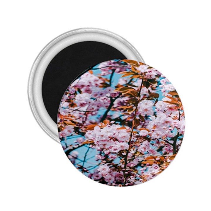 Nature Beautiful Rainbow 2.25  Magnets