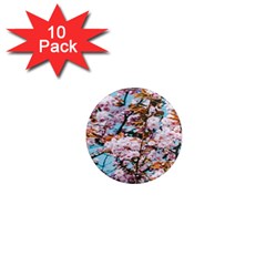 Nature Beautiful Rainbow 1  Mini Magnet (10 Pack) 