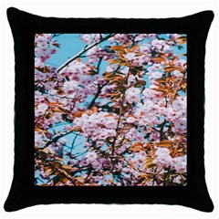 Nature Beautiful Rainbow Throw Pillow Case (black)