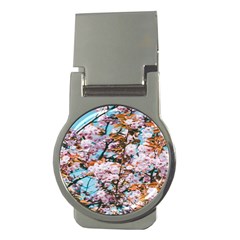 Nature Beautiful Rainbow Money Clips (round) 