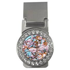 Nature Beautiful Rainbow Money Clips (cz) 