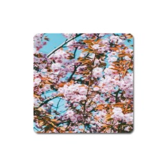 Nature Beautiful Rainbow Square Magnet