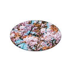 Nature Beautiful Rainbow Sticker Oval (10 Pack)