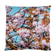 Nature Beautiful Rainbow Standard Cushion Case (one Side)