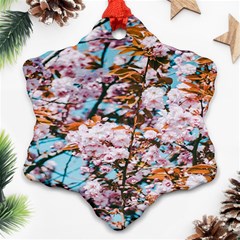 Nature Beautiful Rainbow Ornament (snowflake) by artworkshop