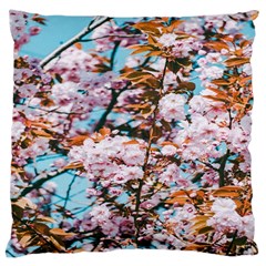 Nature Beautiful Rainbow Large Cushion Case (one Side) by artworkshop