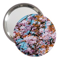 Nature Beautiful Rainbow 3  Handbag Mirrors by artworkshop