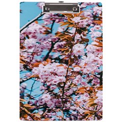 Nature Beautiful Rainbow A4 Acrylic Clipboard by artworkshop