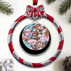 Nature Beautiful Rainbow Metal Red Ribbon Round Ornament