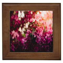 Pink Flower Framed Tile