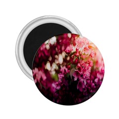 Pink Flower 2.25  Magnets