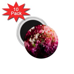 Pink Flower 1.75  Magnets (10 pack) 