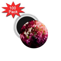 Pink Flower 1.75  Magnets (100 pack) 