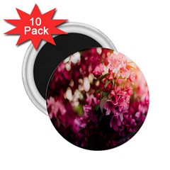 Pink Flower 2.25  Magnets (10 pack) 