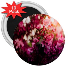 Pink Flower 3  Magnets (10 pack) 