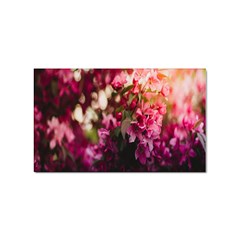 Pink Flower Sticker (Rectangular)