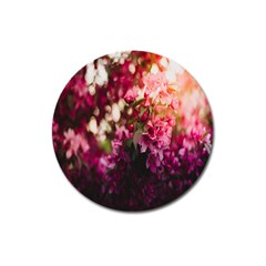 Pink Flower Magnet 3  (Round)