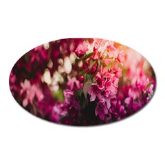 Pink Flower Oval Magnet