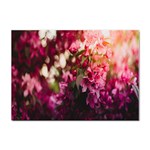 Pink Flower Sticker A4 (10 pack) Front