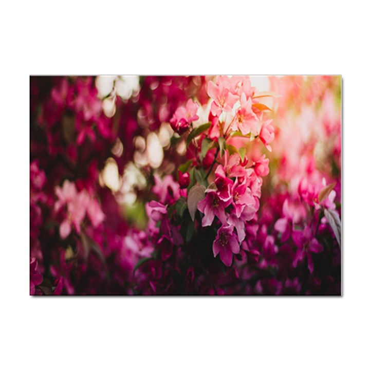 Pink Flower Sticker A4 (10 pack)