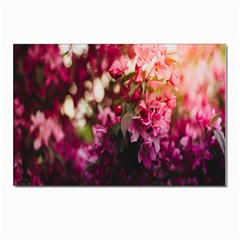 Pink Flower Postcard 4 x 6  (Pkg of 10)