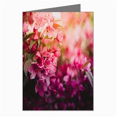 Pink Flower Greeting Cards (Pkg of 8)