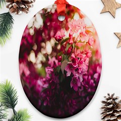 Pink Flower Oval Ornament (Two Sides)