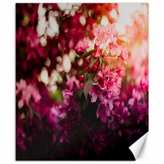 Pink Flower Canvas 8  x 10 