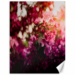 Pink Flower Canvas 12  x 16 