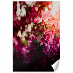 Pink Flower Canvas 24  x 36 