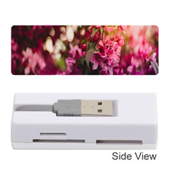 Pink Flower Memory Card Reader (Stick)